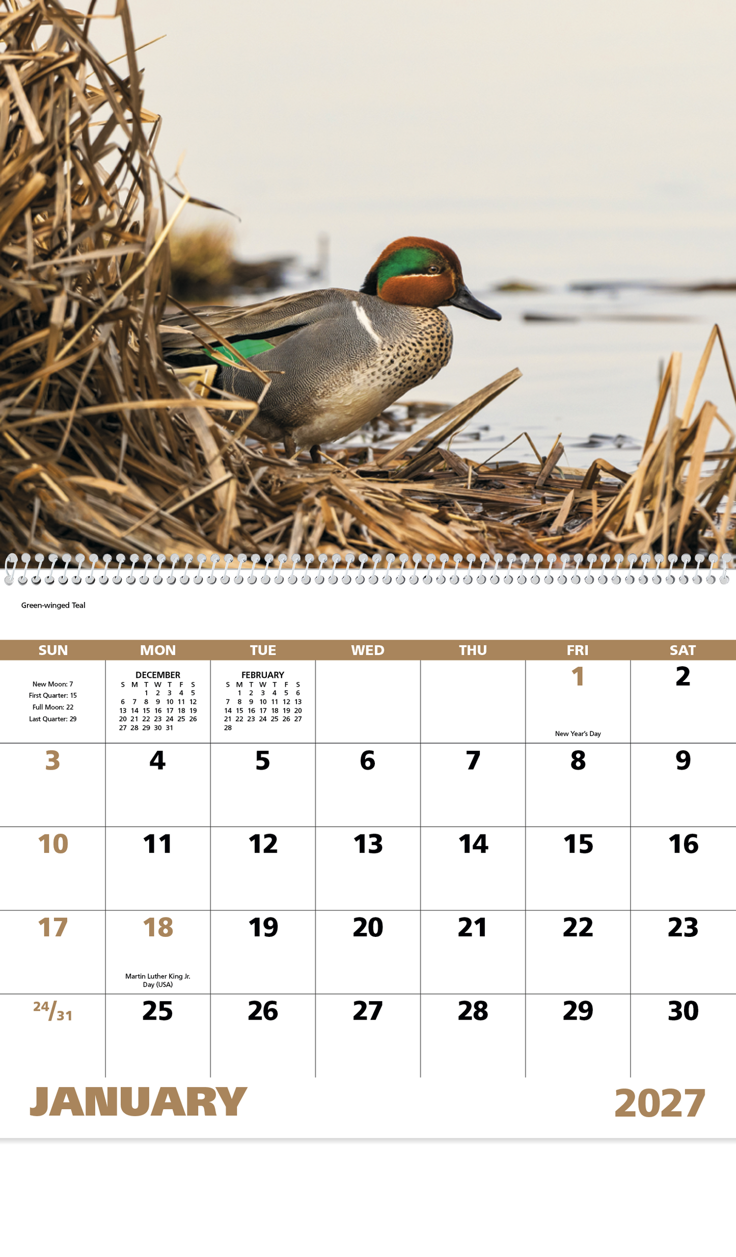Waterfowl - Spiral Calendar