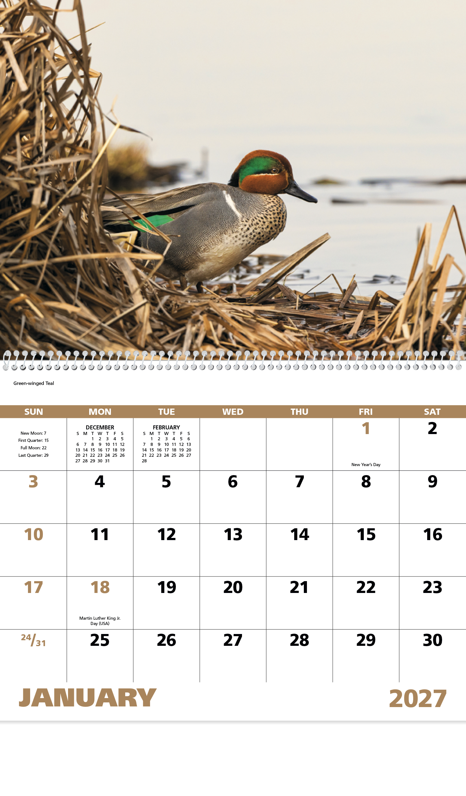 Waterfowl - Spiral Calendar