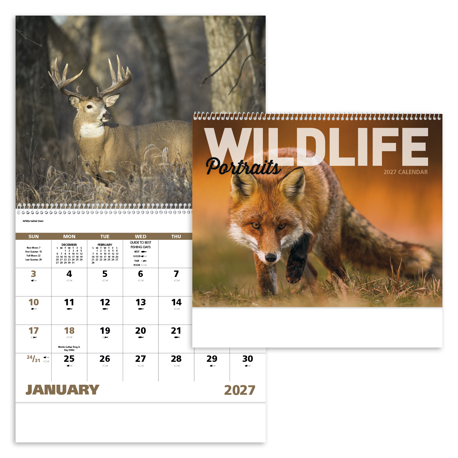 Wildlife Portraits - Spiral Calendar