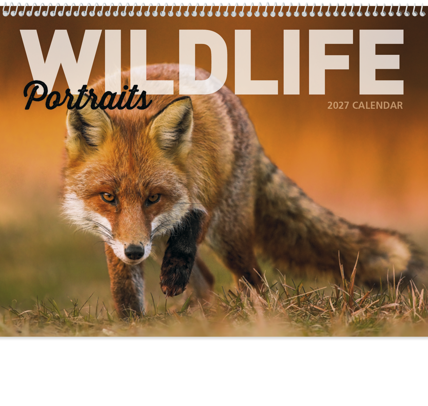 Wildlife Portraits - Spiral Calendar