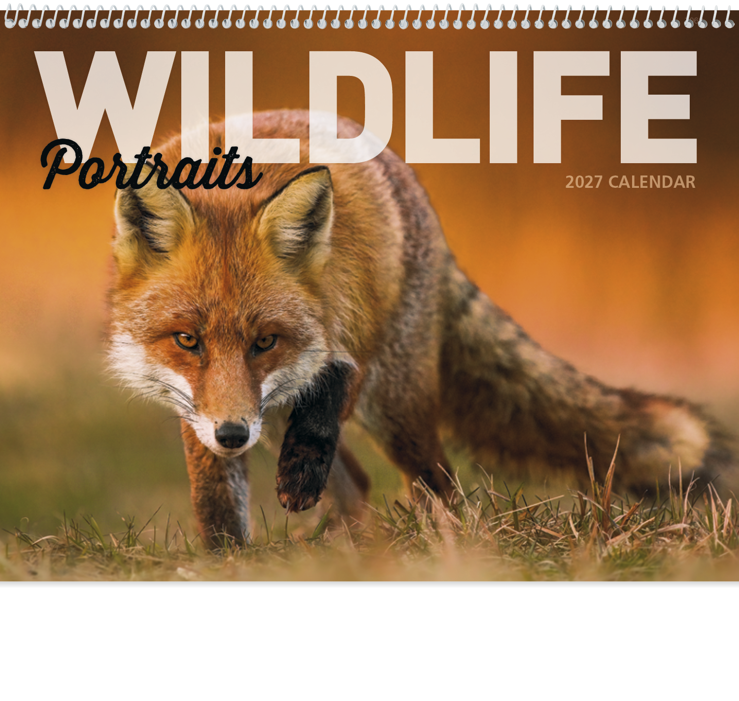 Wildlife Portraits - Spiral Calendar