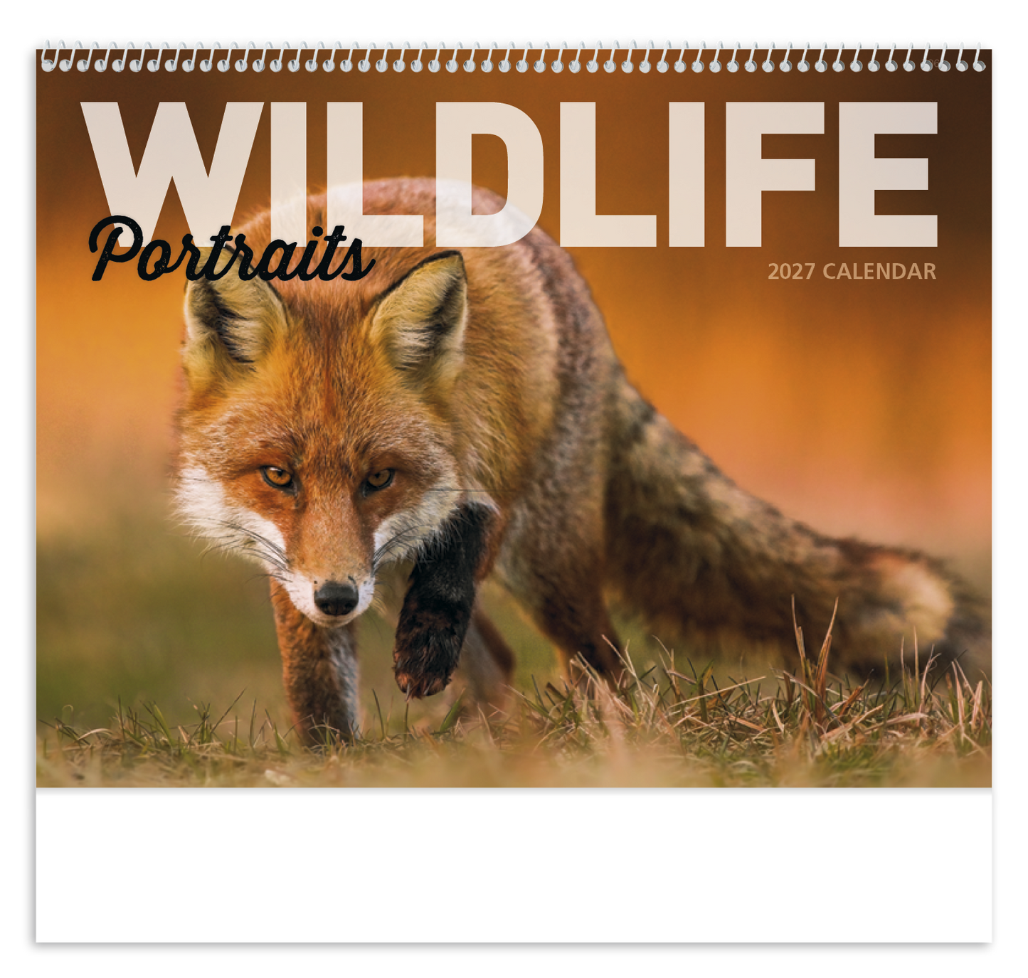 Wildlife Portraits - Spiral Calendar