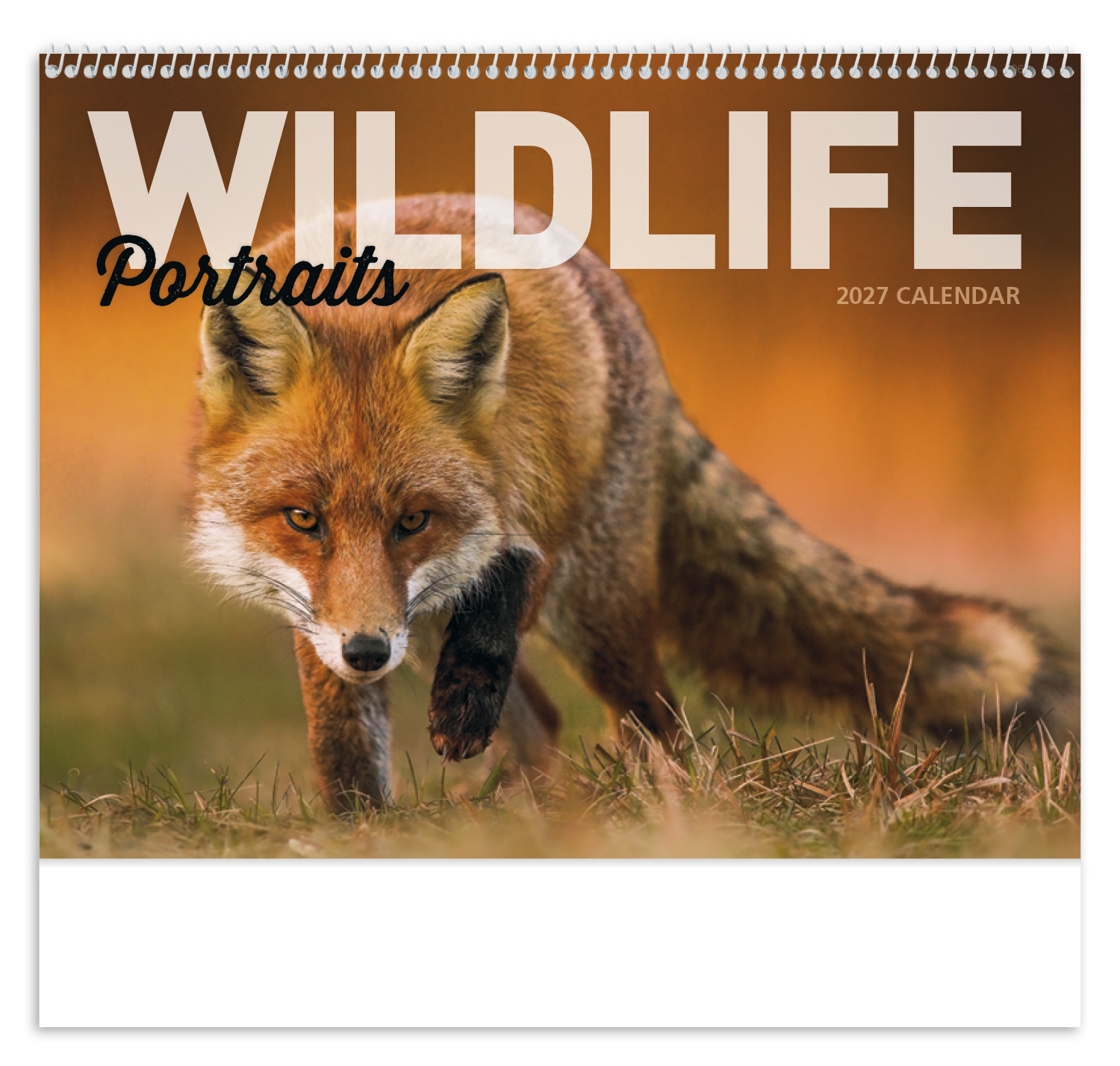 Wildlife Portraits - Spiral Calendar