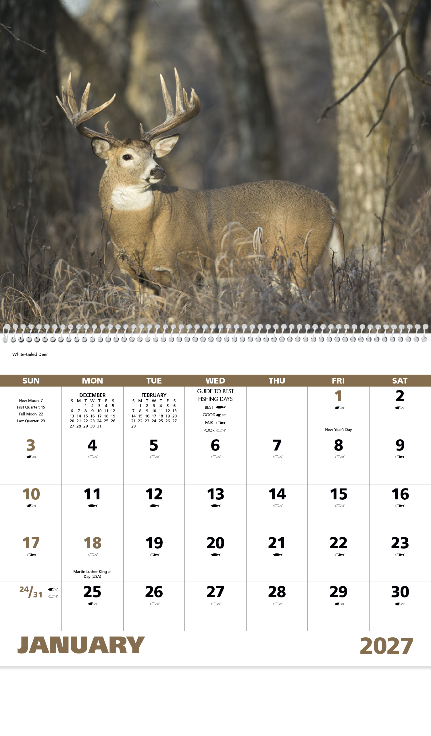 Wildlife Portraits - Spiral Calendar
