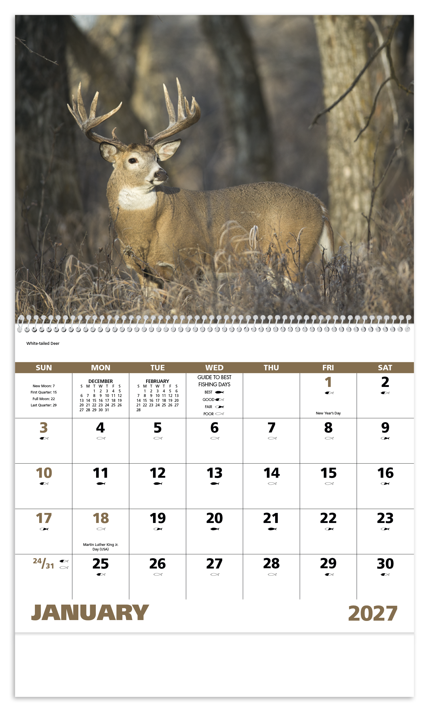 Wildlife Portraits - Spiral Calendar