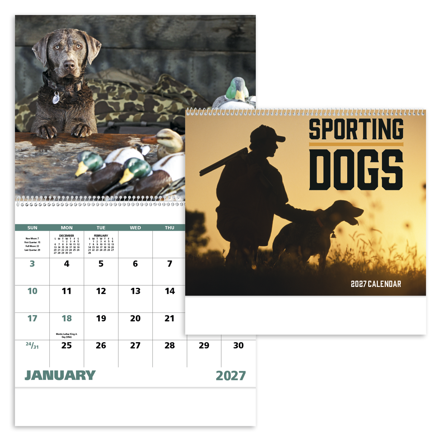 Sporting Dogs - Spiral Calendar
