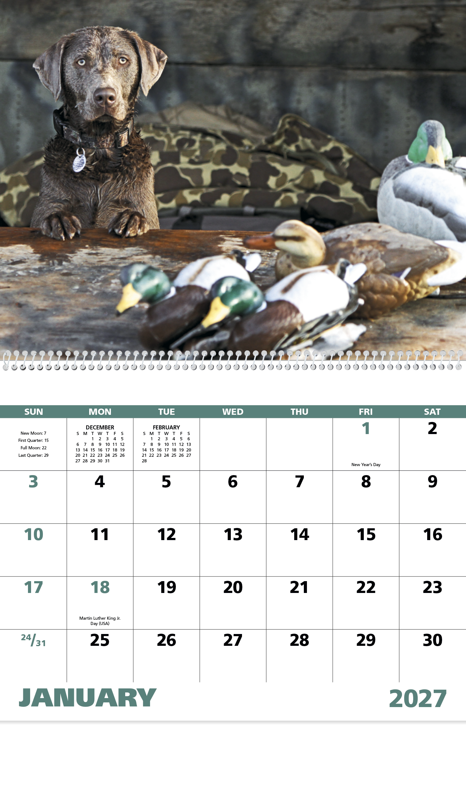 Sporting Dogs - Spiral Calendar