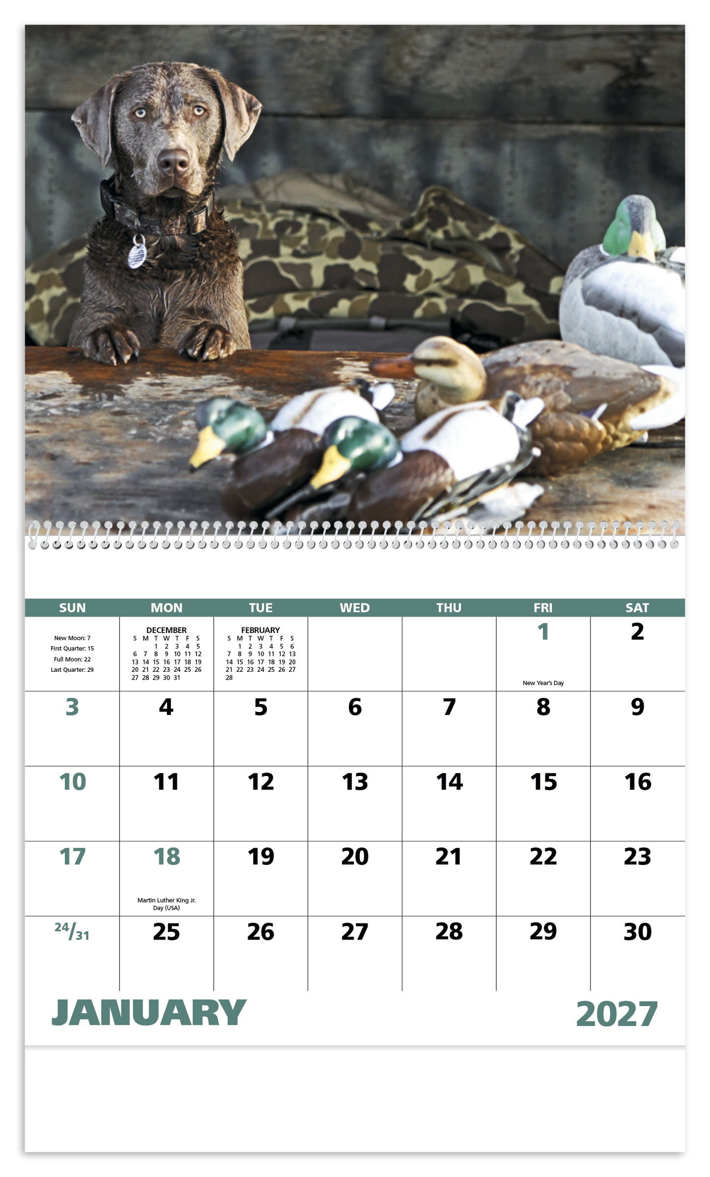 Sporting Dogs - Spiral Calendar