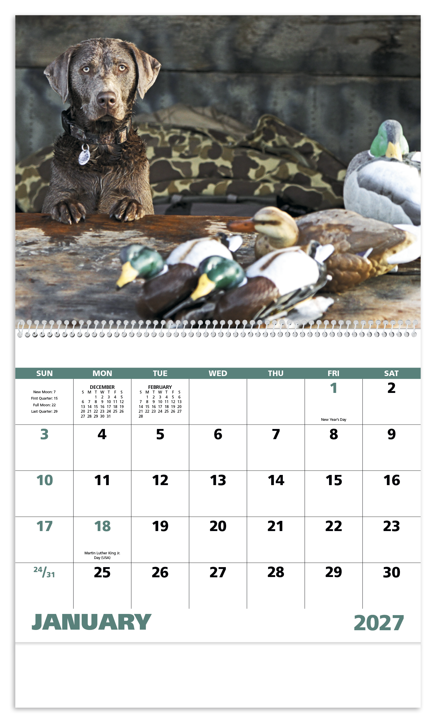 Sporting Dogs - Spiral Calendar