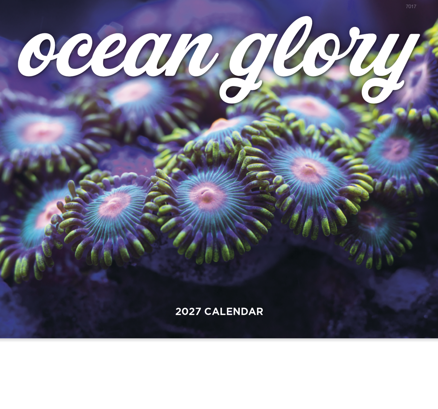 Ocean Glory - Stapled Calendar