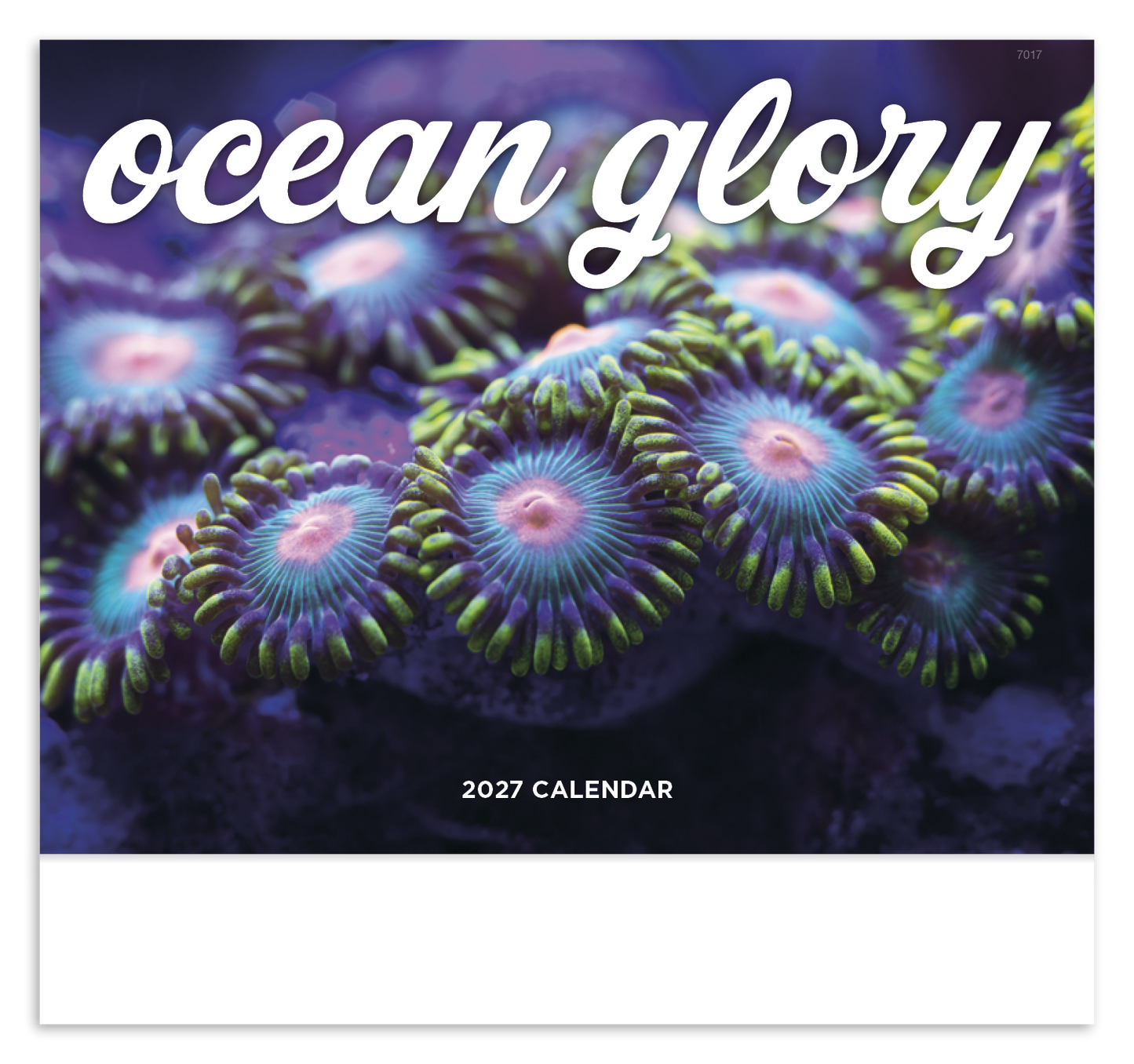 Ocean Glory - Stapled Calendar