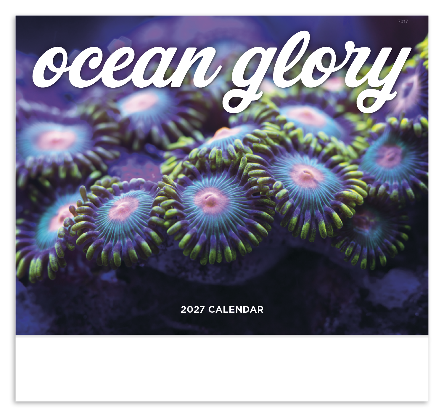 Ocean Glory - Stapled Calendar