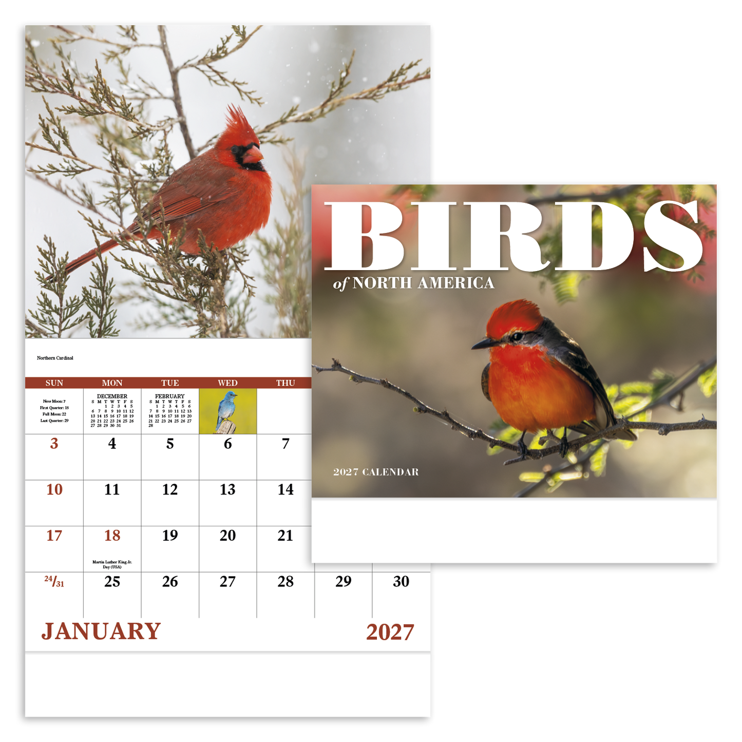 Birds of North America - Stapled Calendar