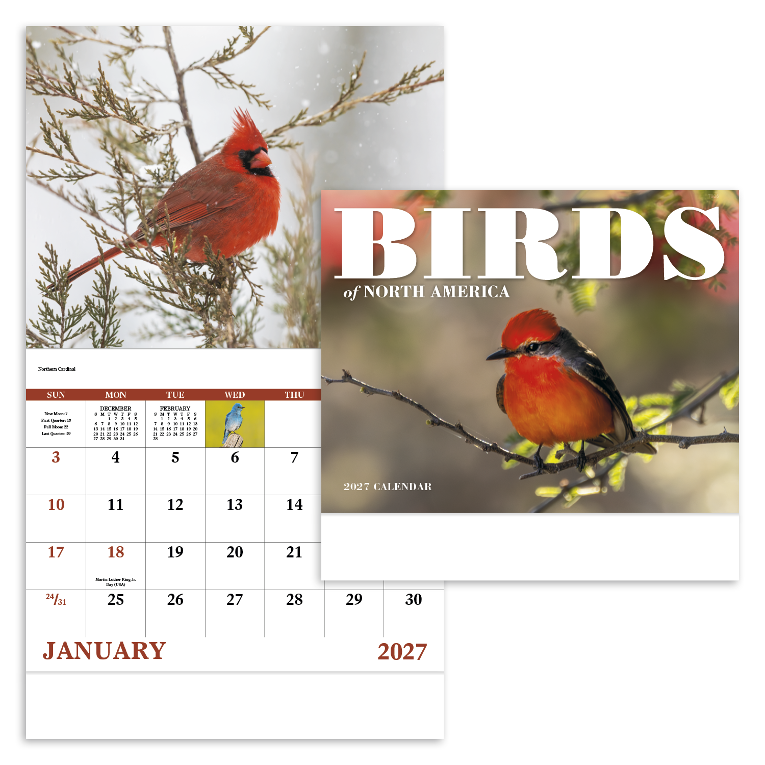 Birds of North America - Stapled Calendar