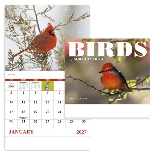 Birds of North America - Stapled Calendar