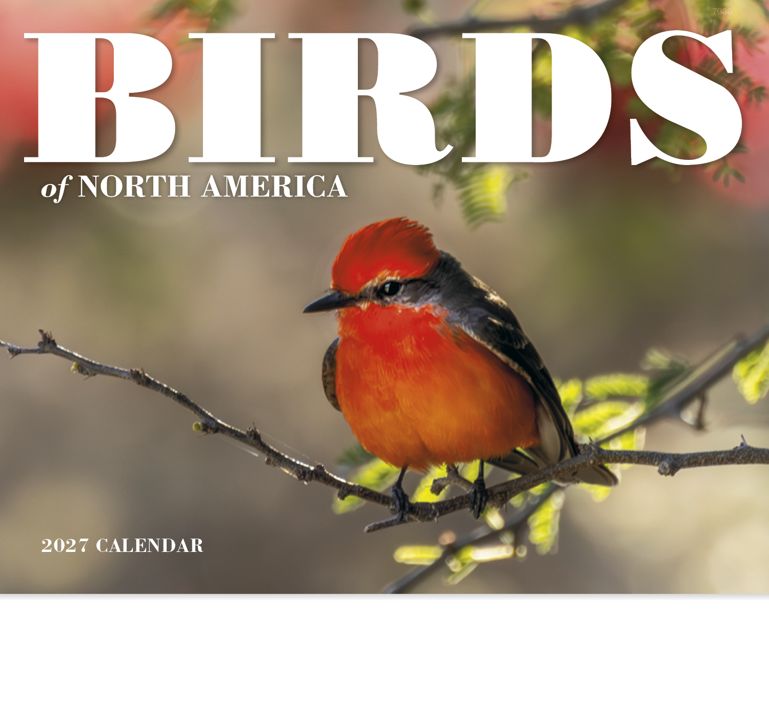 Birds of North America - Stapled Calendar