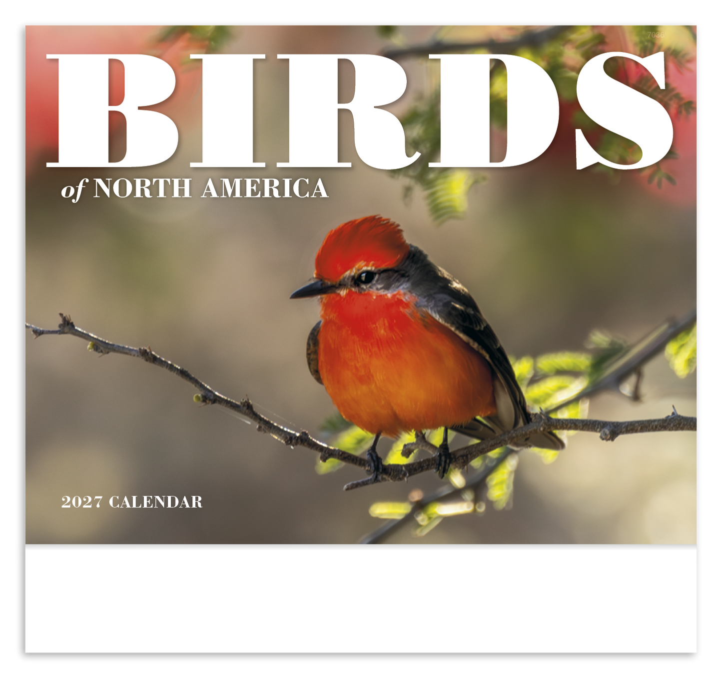 Birds of North America - Stapled Calendar