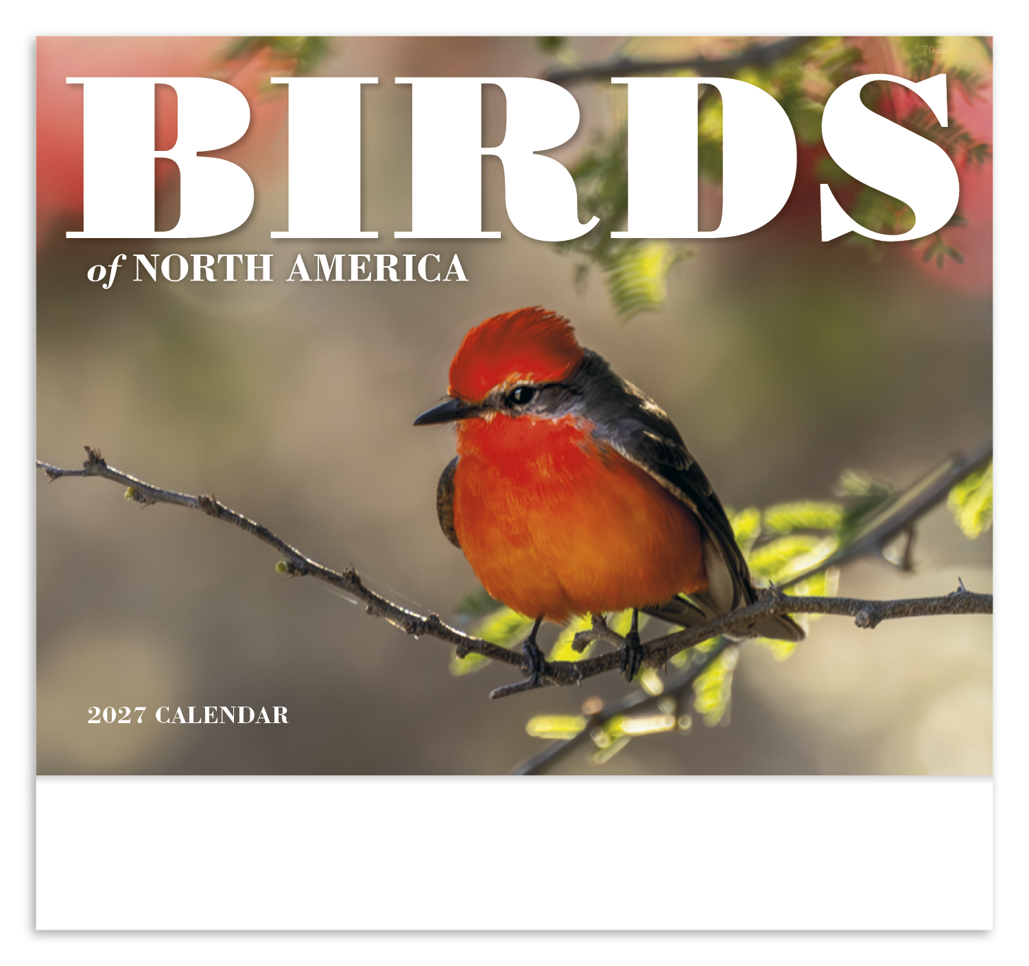 Birds of North America - Stapled Calendar
