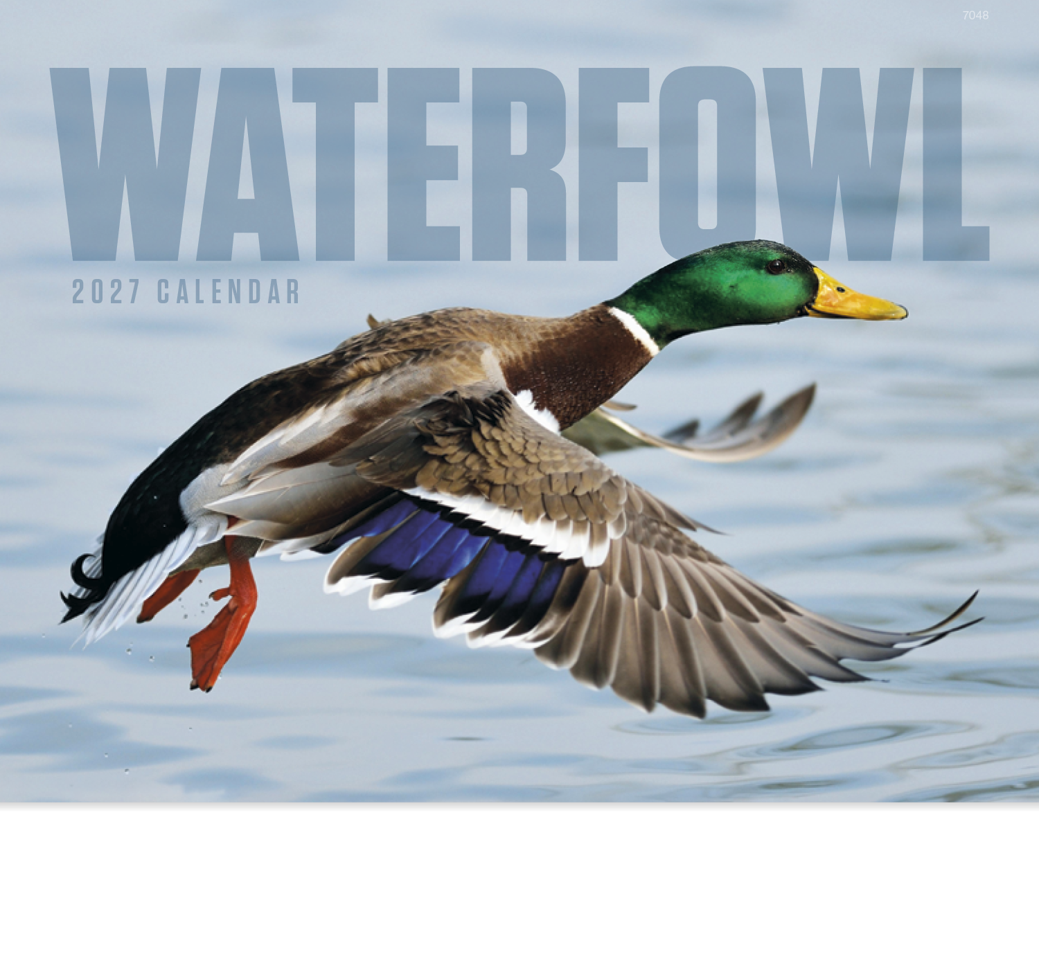 Waterfowl - Stapled Calendar