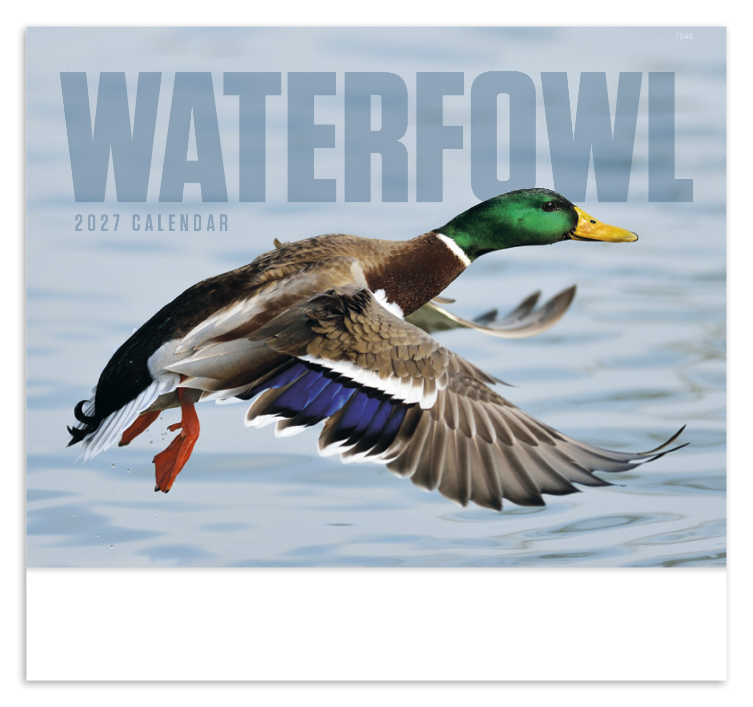 Waterfowl - Stapled Calendar