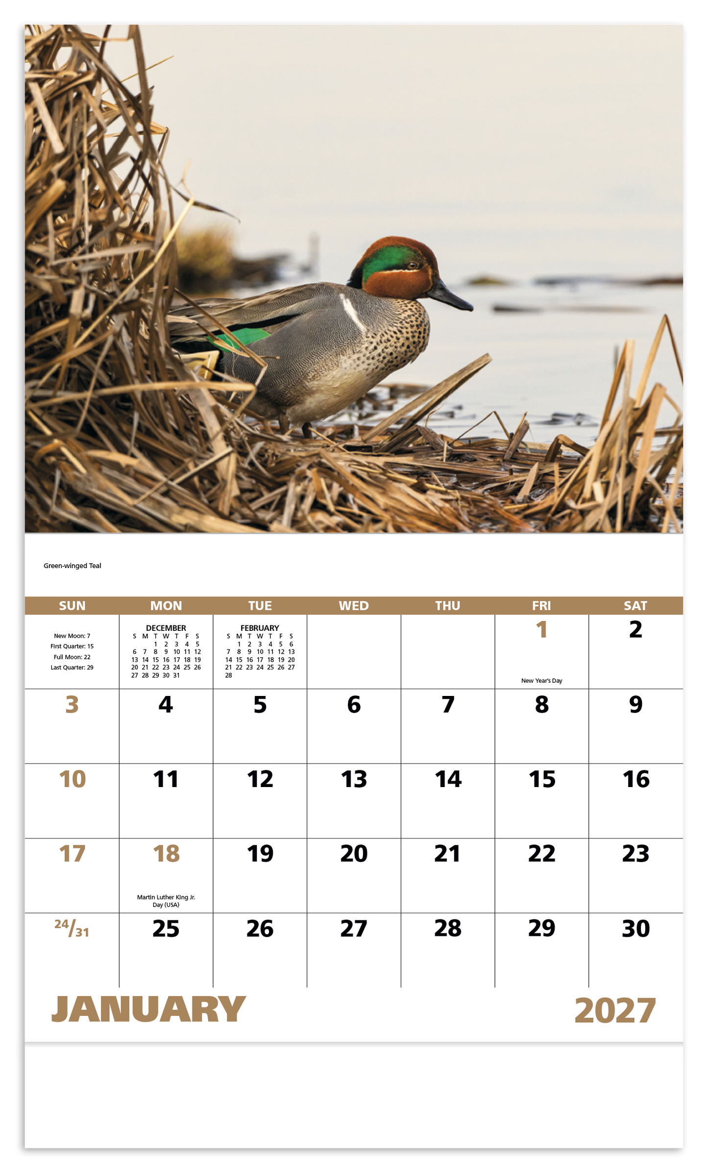 Waterfowl - Stapled Calendar