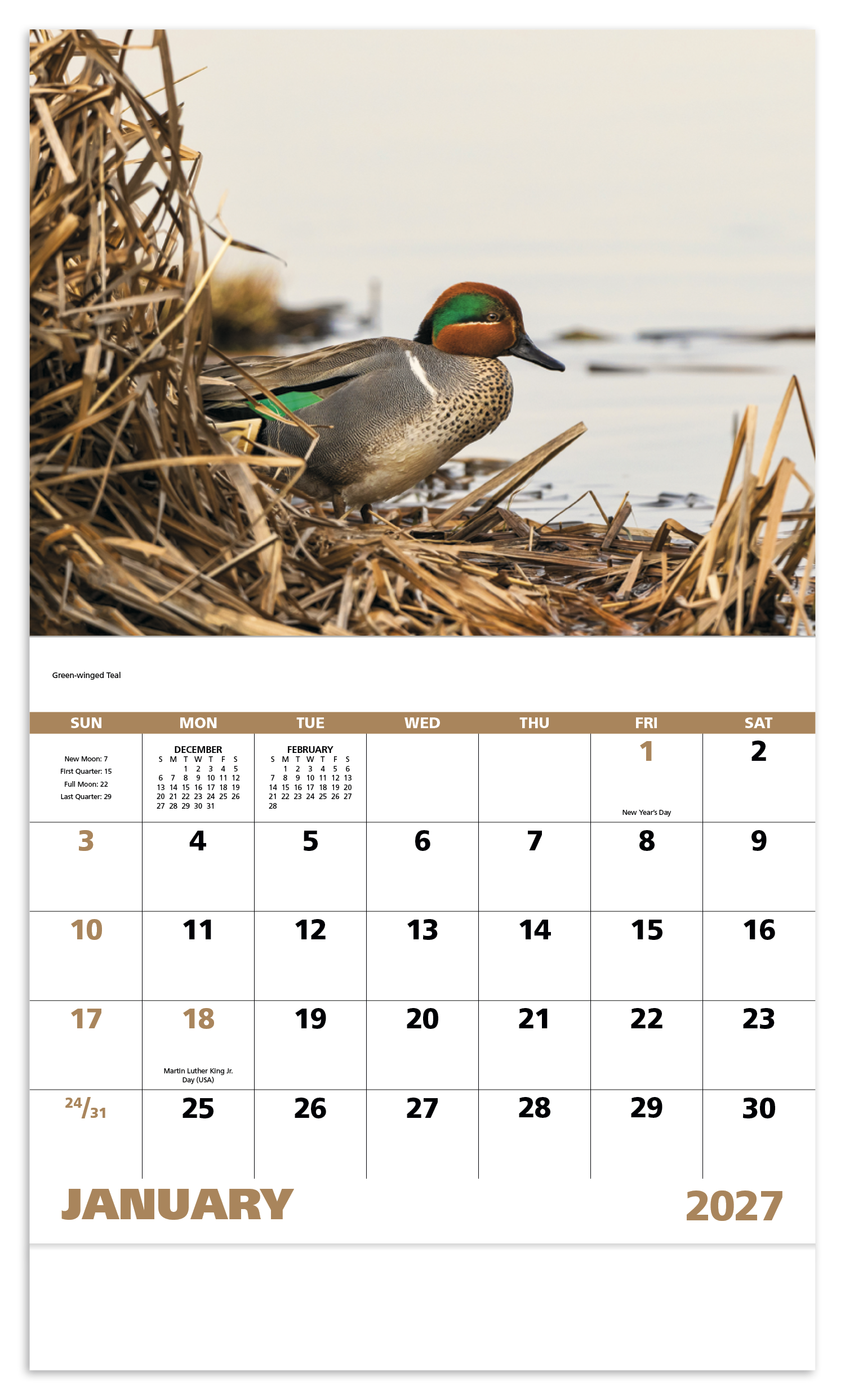 Waterfowl - Stapled Calendar