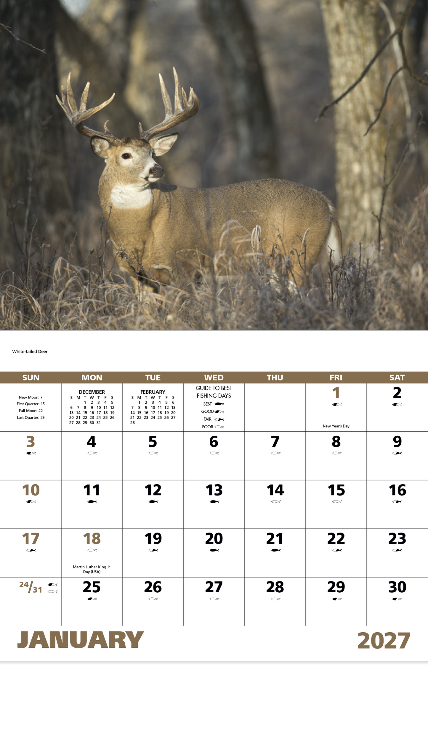 Wildlife Portraits - Stapled Calendar