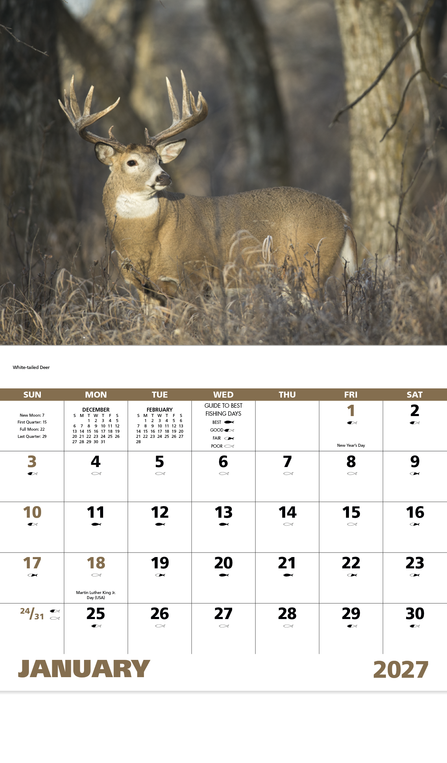 Wildlife Portraits - Stapled Calendar