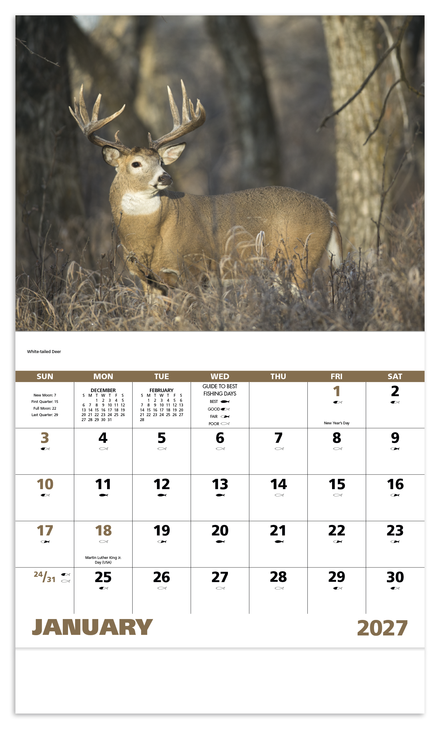 Wildlife Portraits - Stapled Calendar
