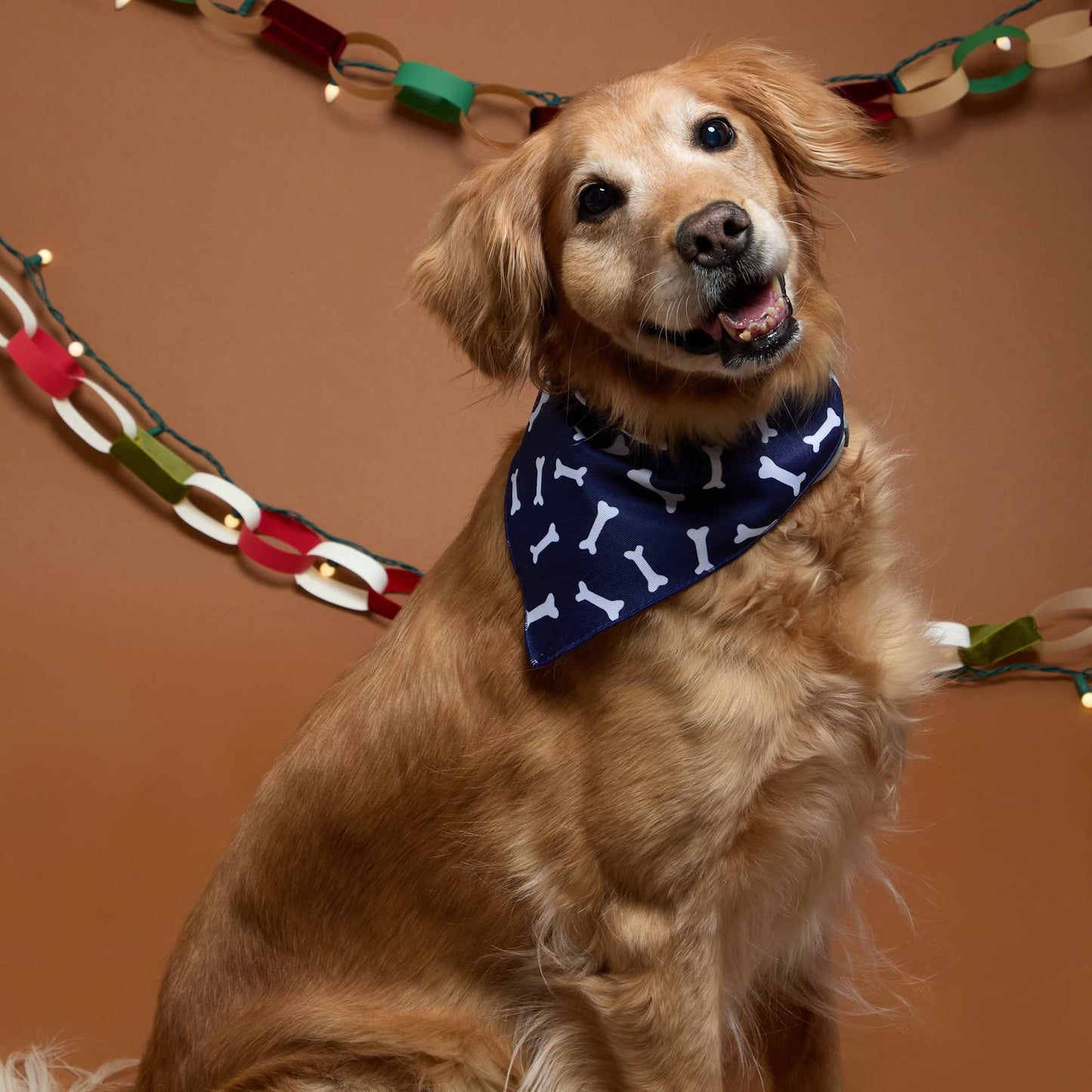 Paws & Claws Pet Bandana