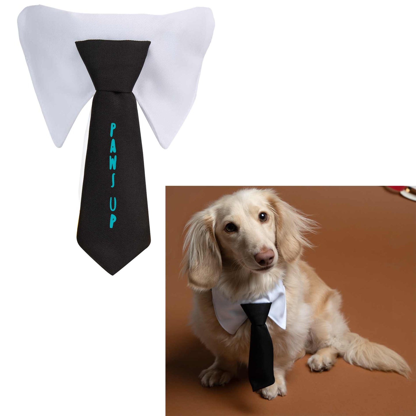 Paws & Claws Pet Neck Tie Collar