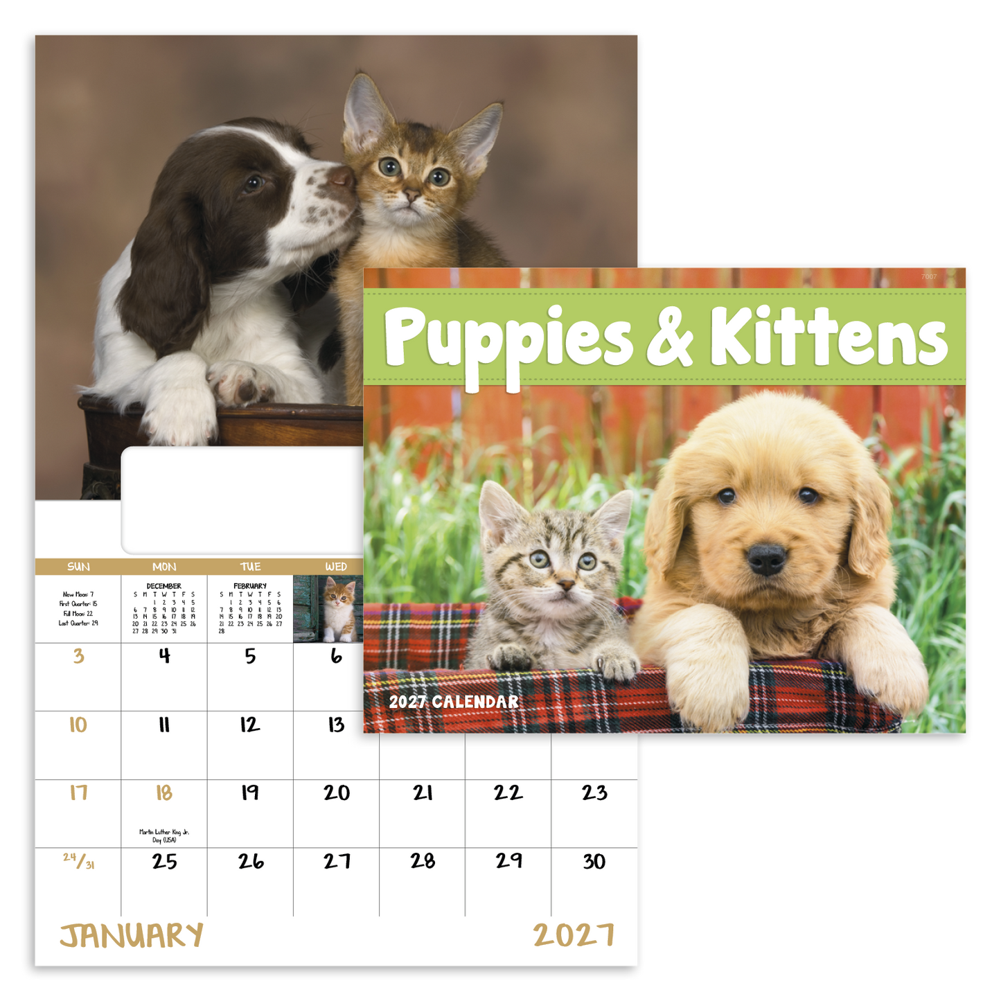 Puppies & Kittens - Window Calendar