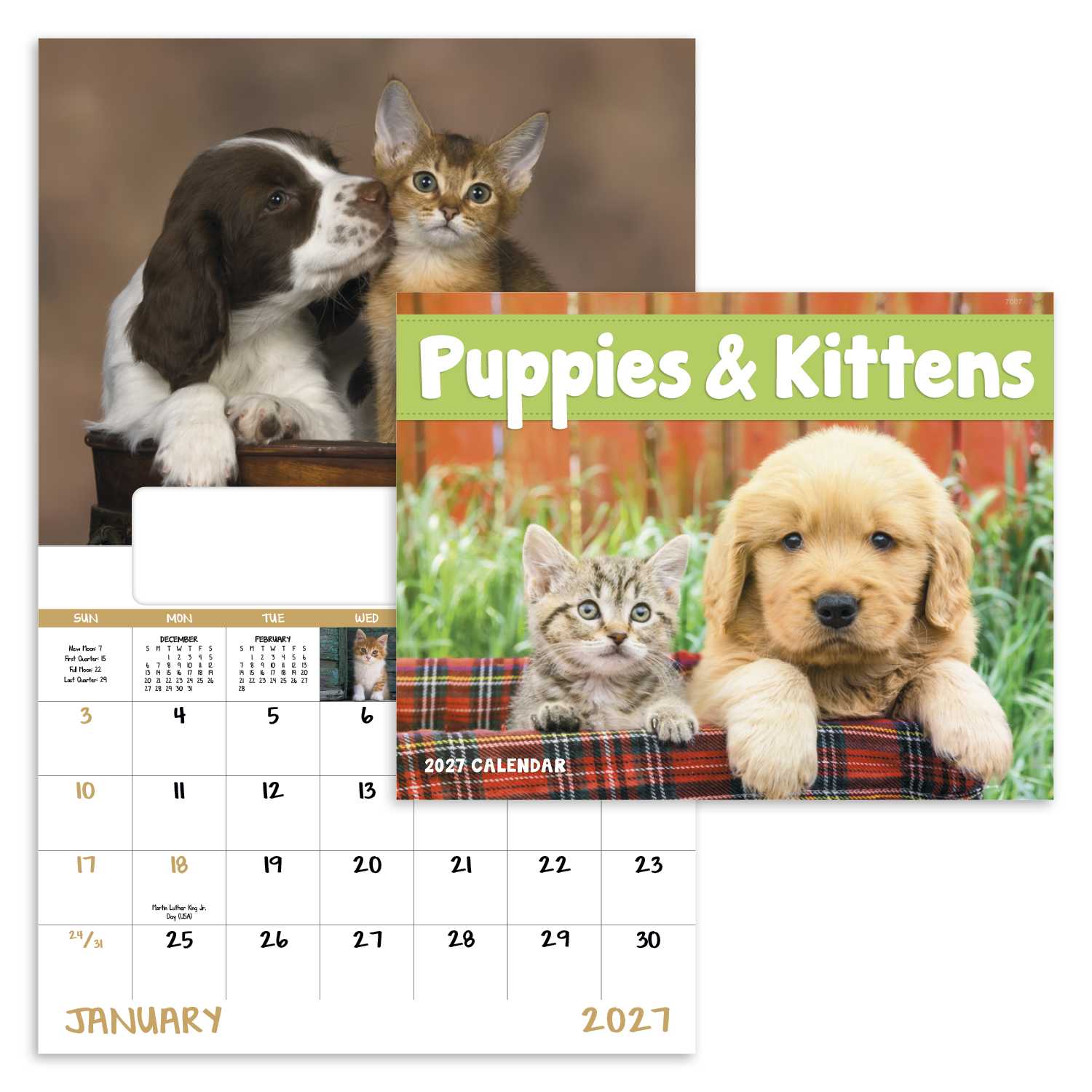 Puppies & Kittens - Window Calendar