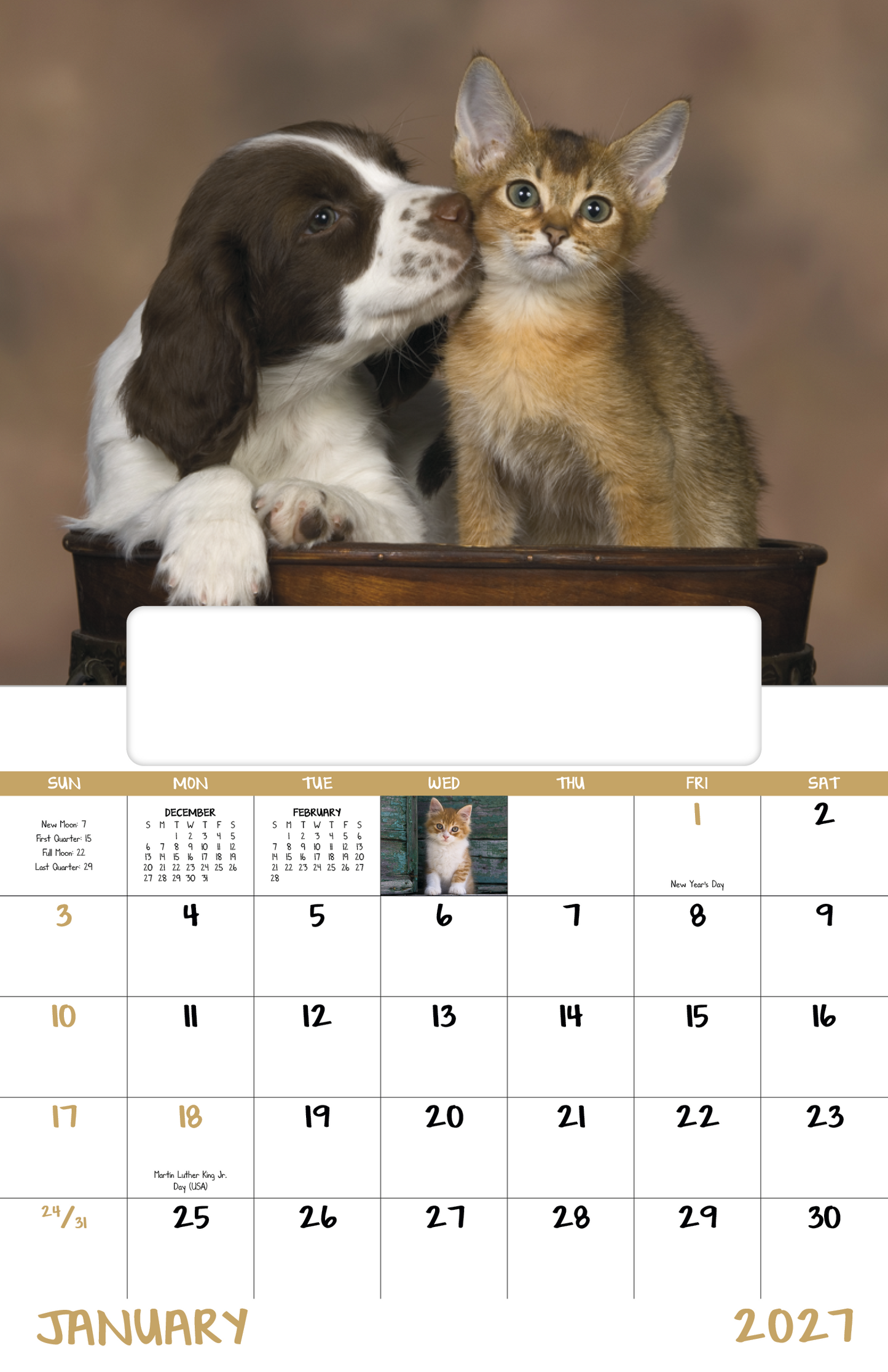 Puppies & Kittens - Window Calendar