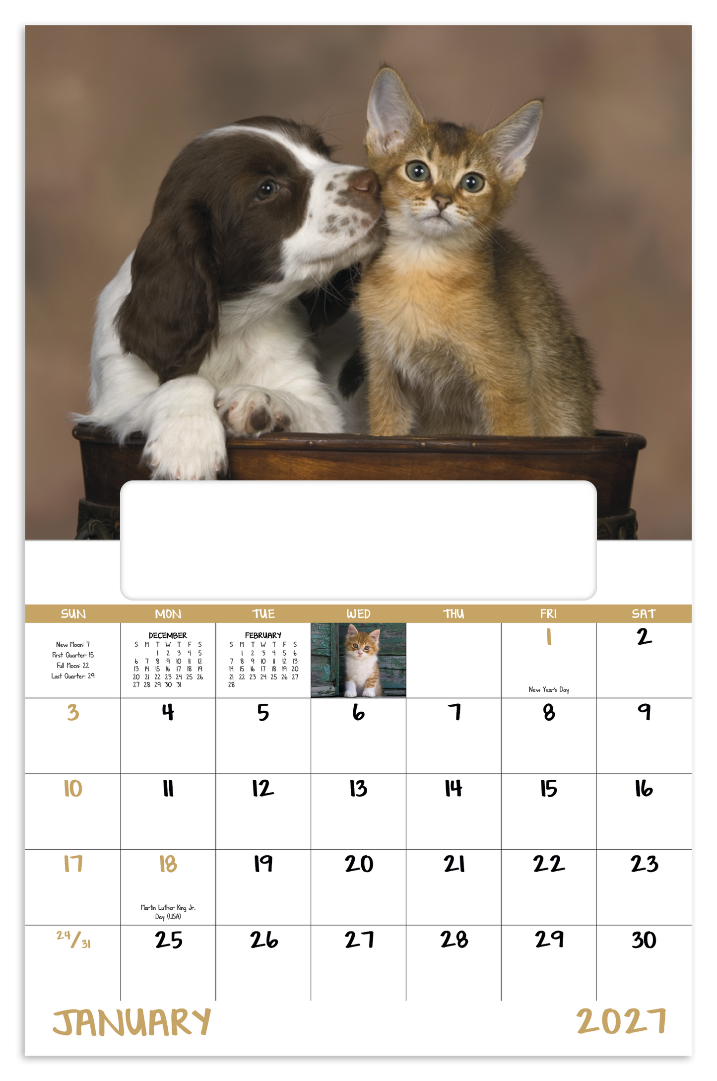 Puppies & Kittens - Window Calendar