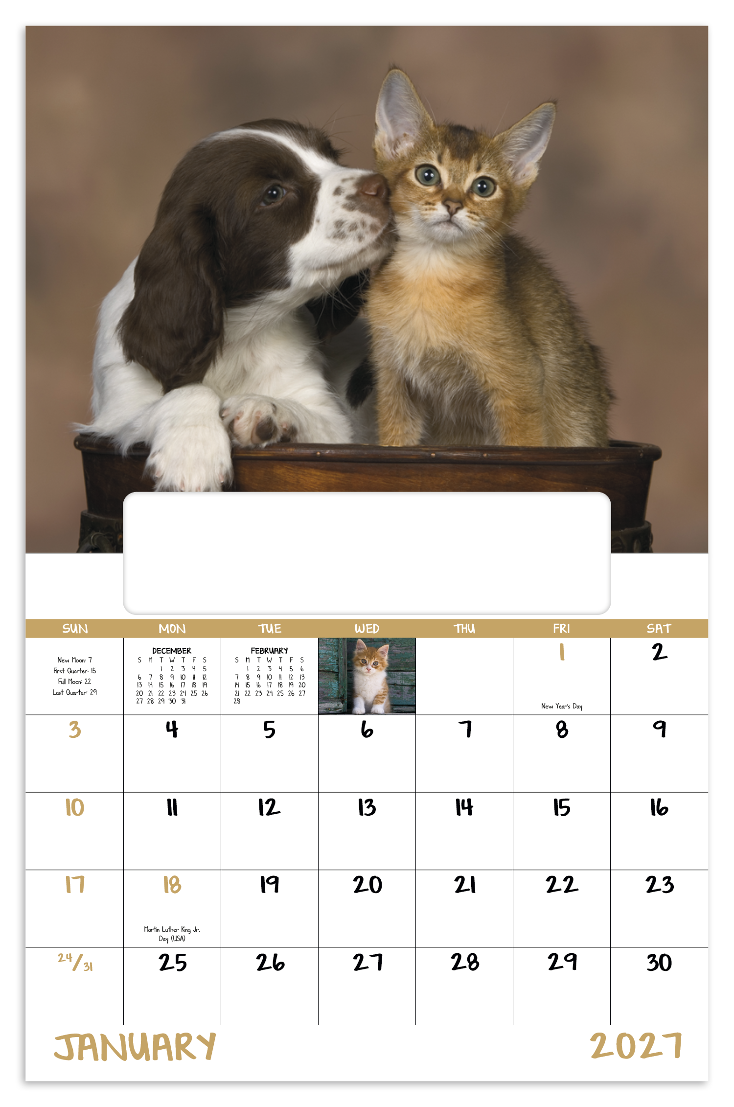 Puppies & Kittens - Window Calendar