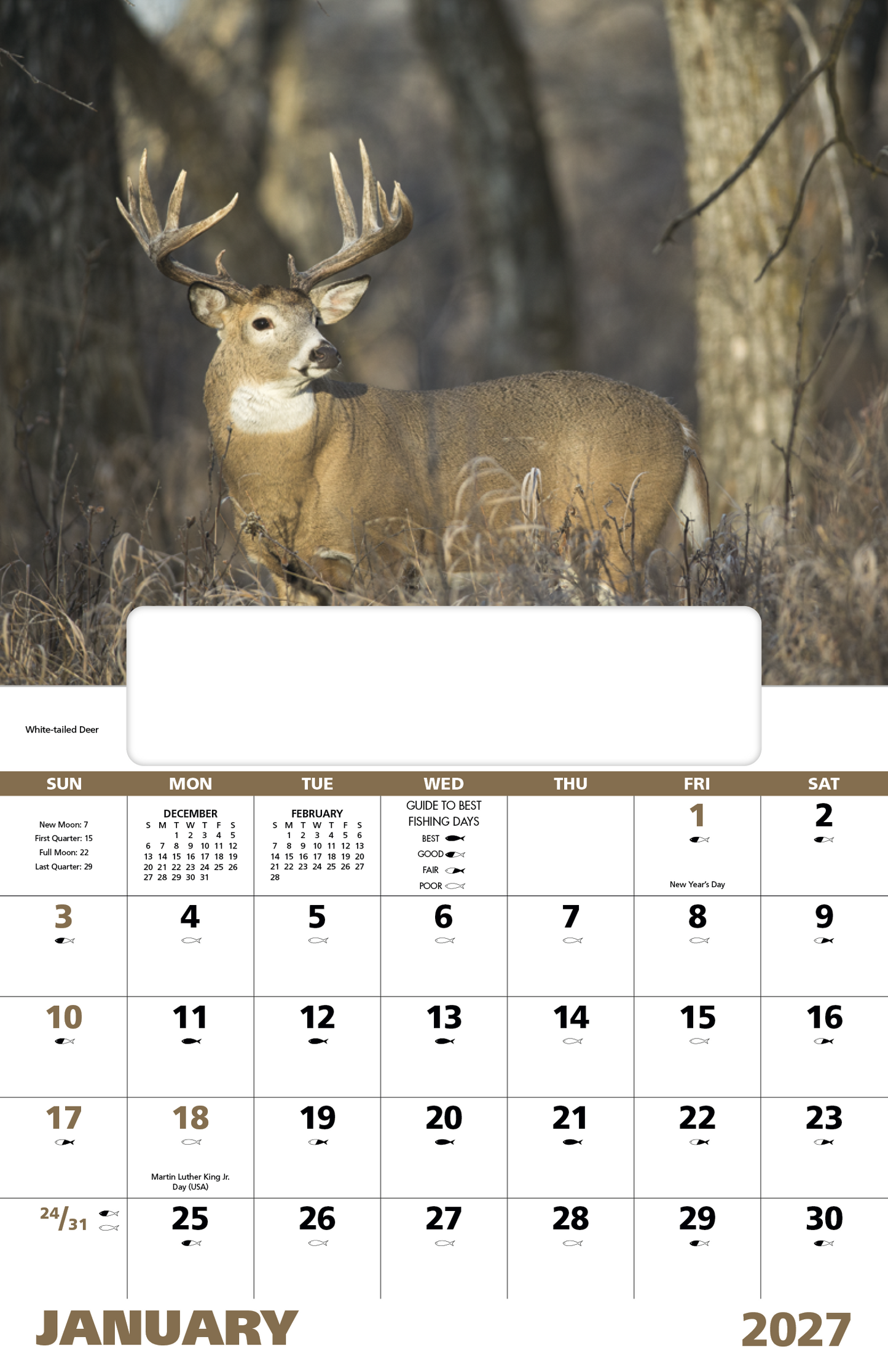 Wildlife Portraits - Window Calendar