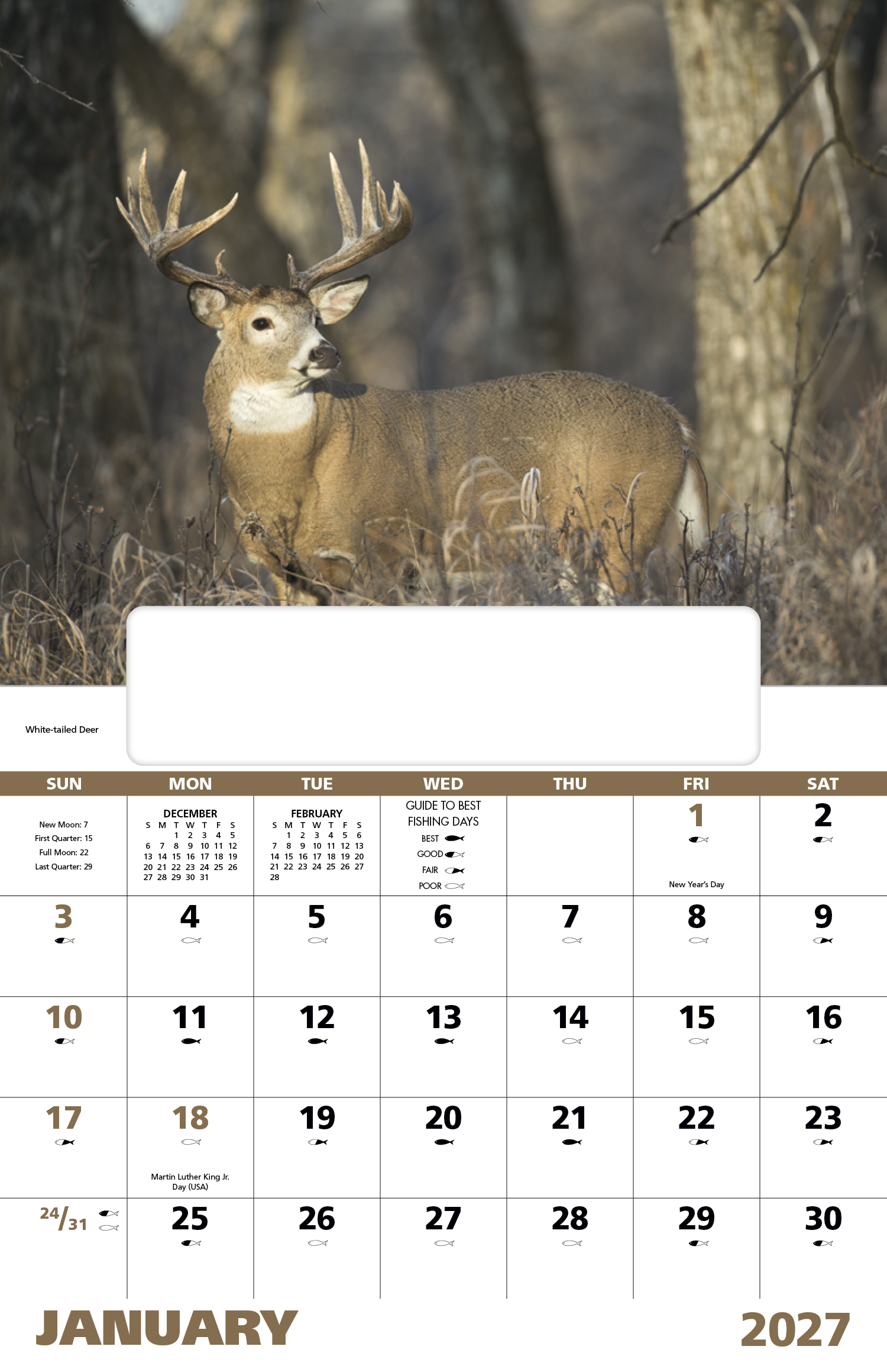 Wildlife Portraits - Window Calendar