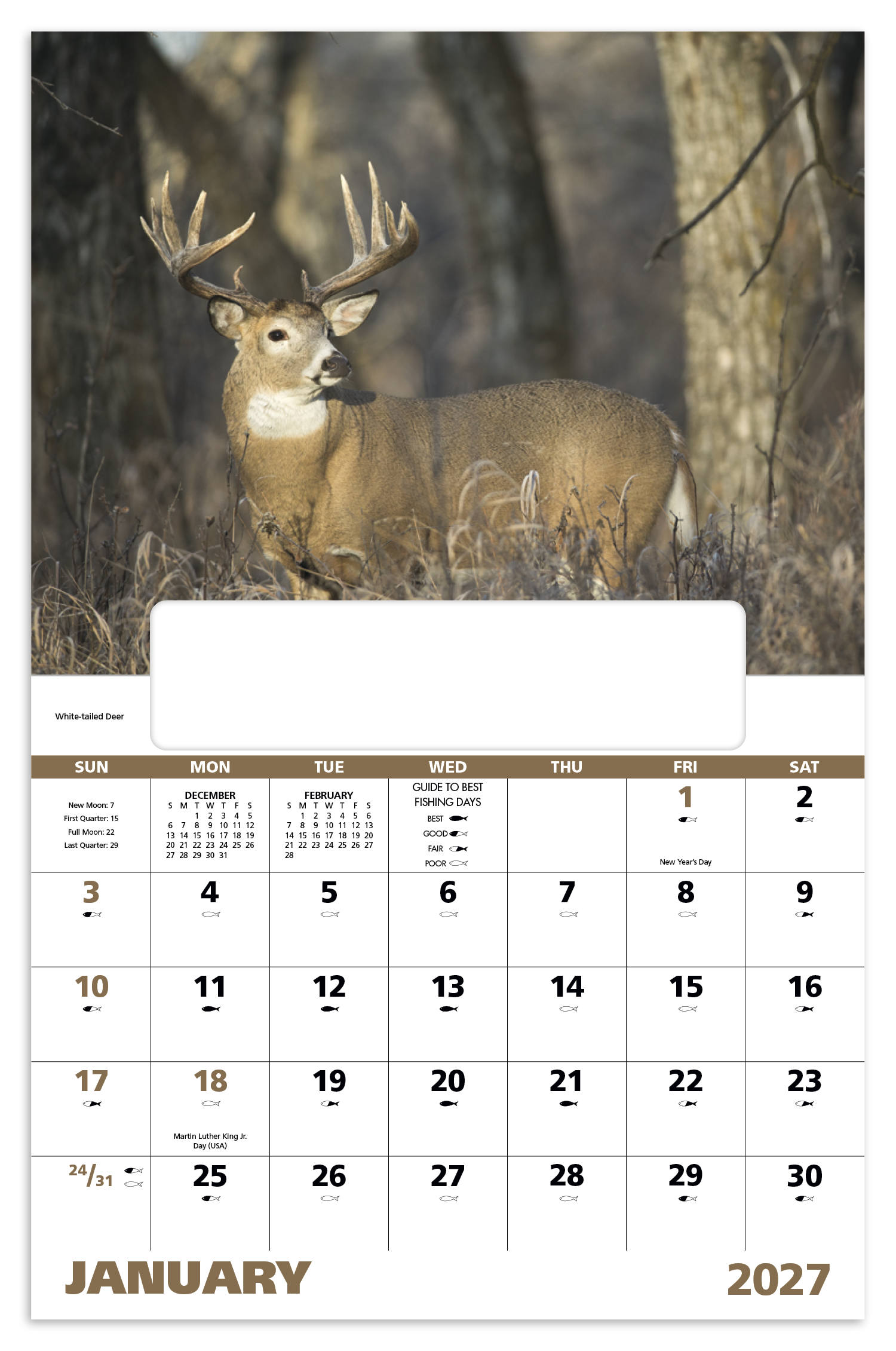 Wildlife Portraits - Window Calendar