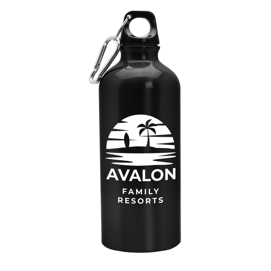 Quest Aluminum Bottle - 20 oz.