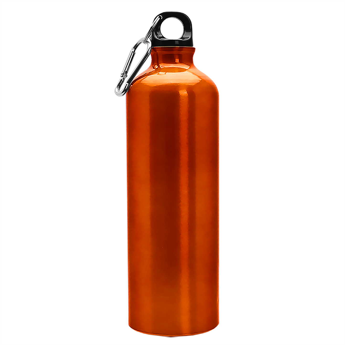 Excursion Aluminum Bottle with Carabiner - 25 oz.