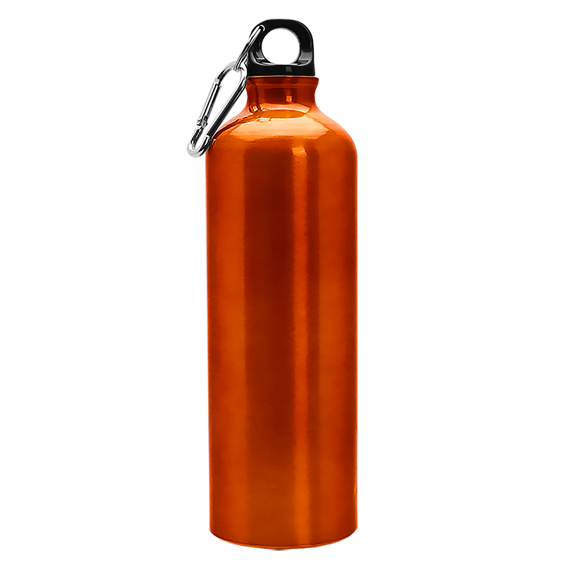 Excursion Aluminum Bottle with Carabiner - 25 oz.