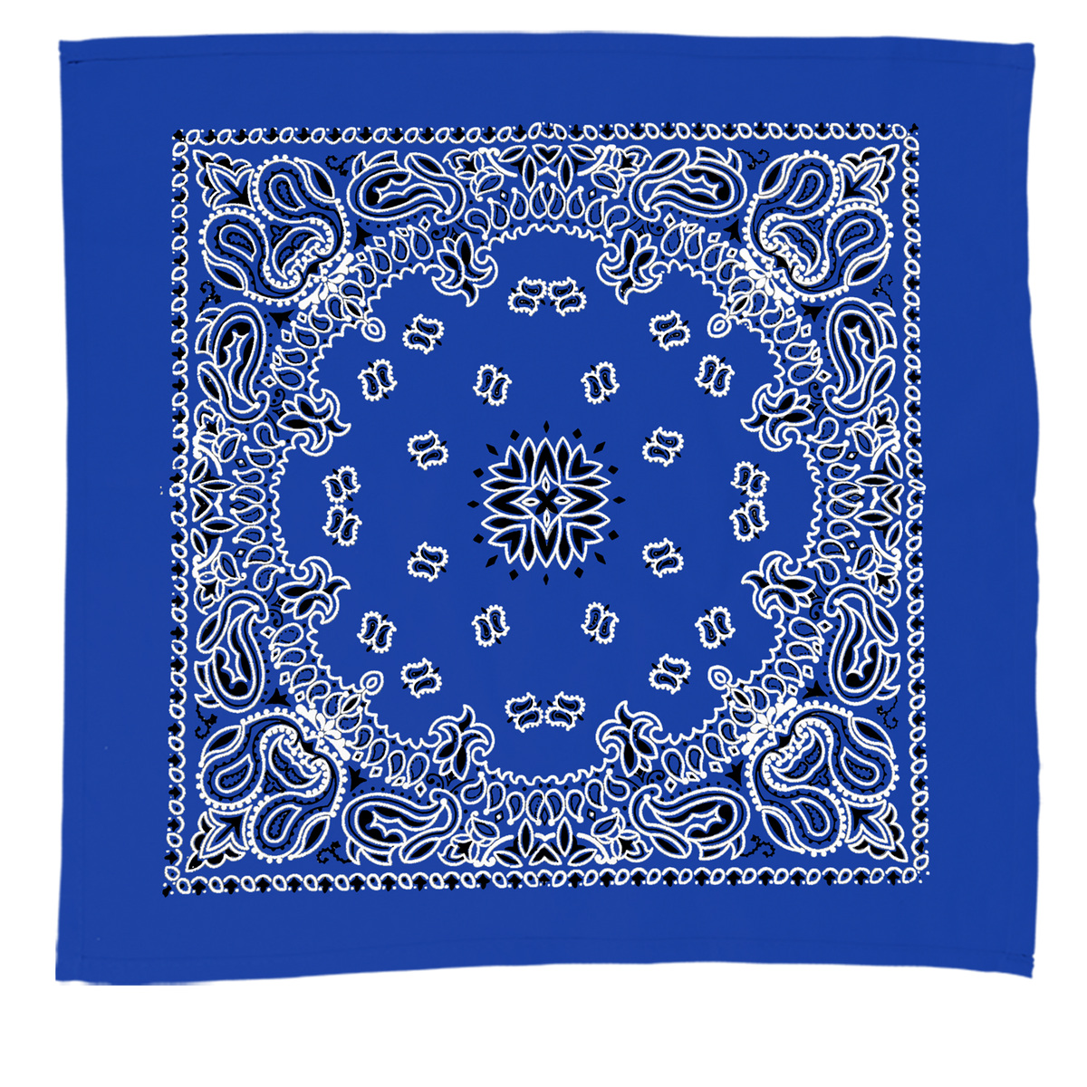 Custom logo 22" Bandana with Stock Paisley Pattern