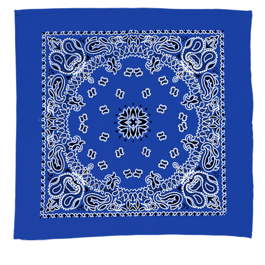 Custom logo 22" Bandana with Stock Paisley Pattern