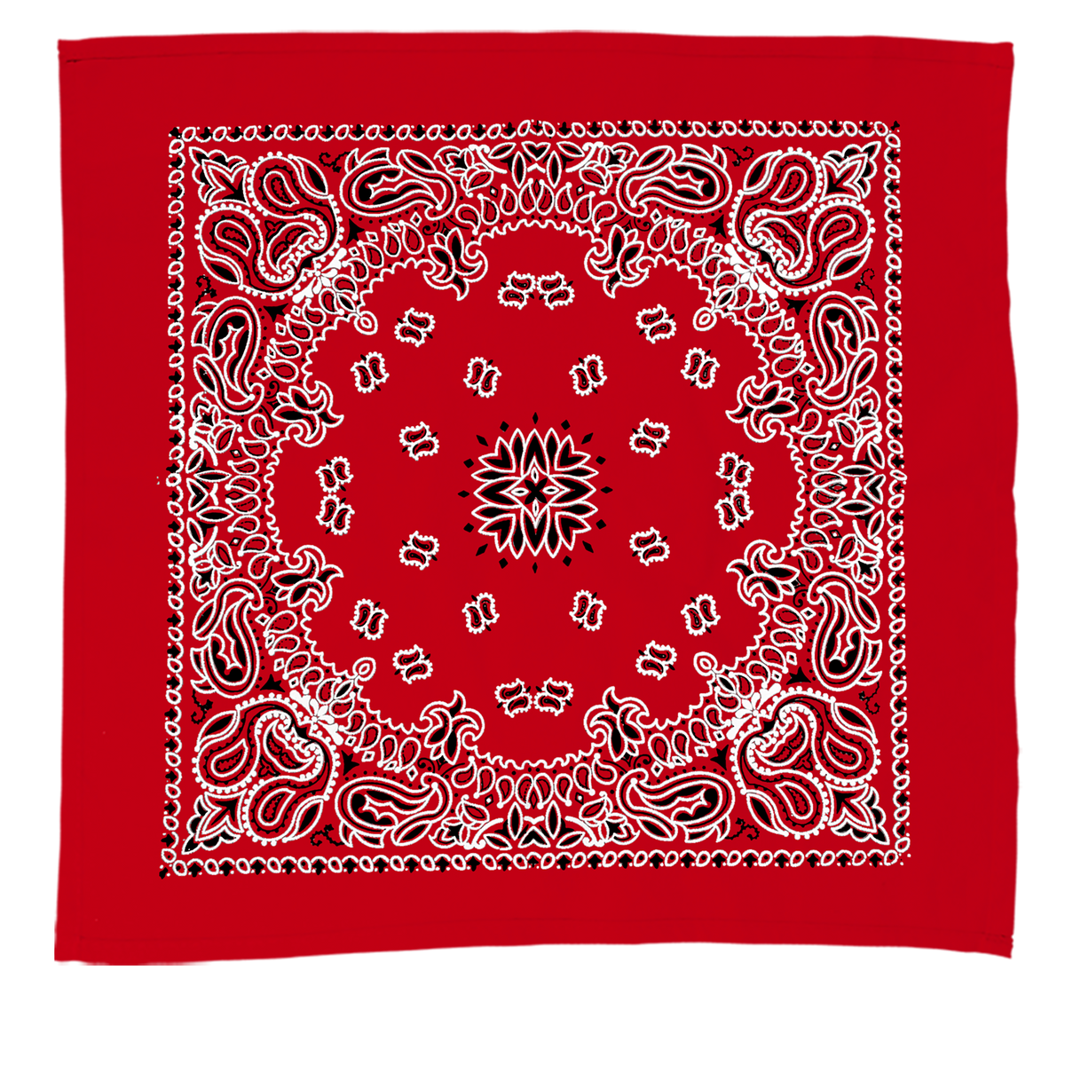 Custom logo 22" Bandana with Stock Paisley Pattern