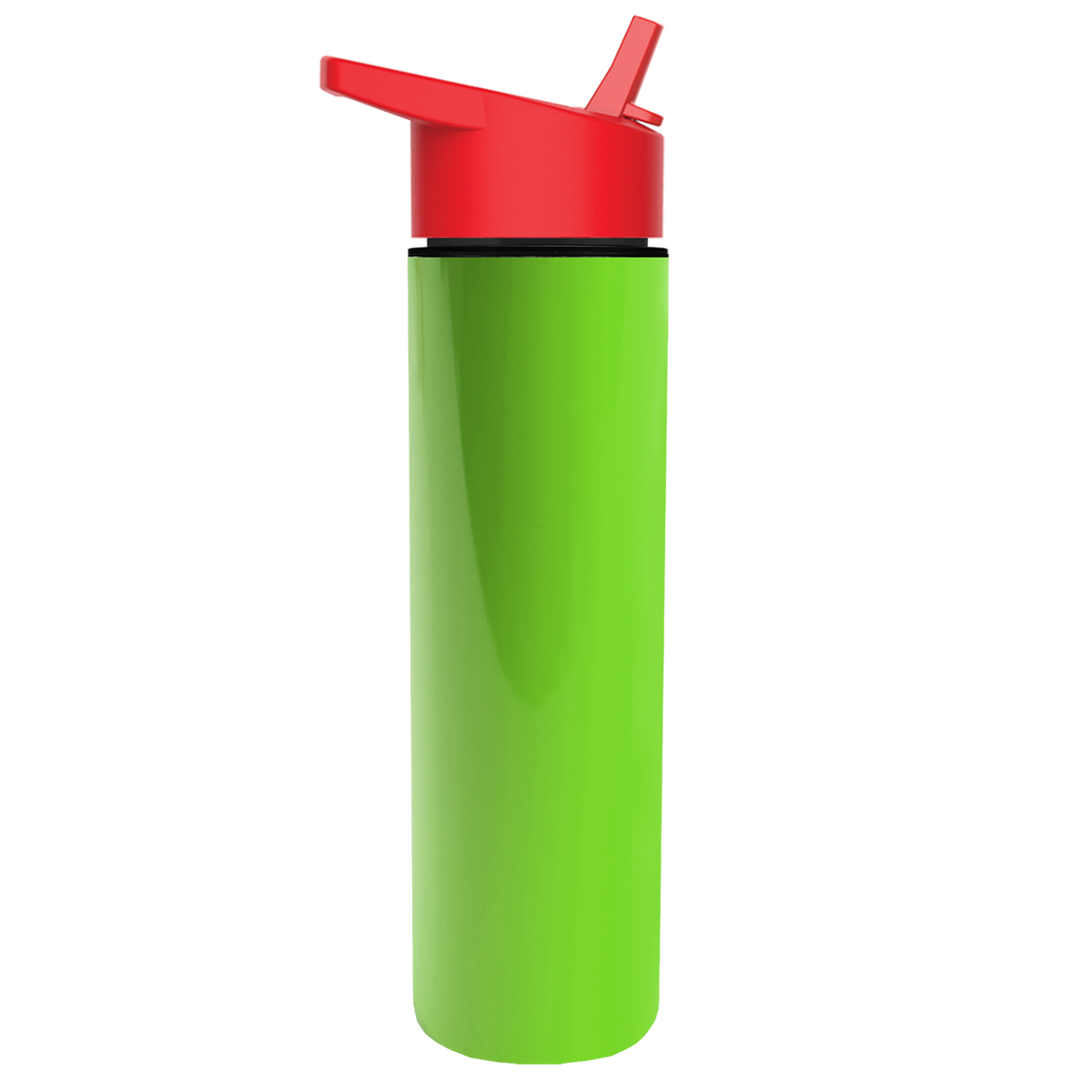 Custom logo Slim Double-Wall Insulated Bottle with Flip-Straw Lid - 16 oz.