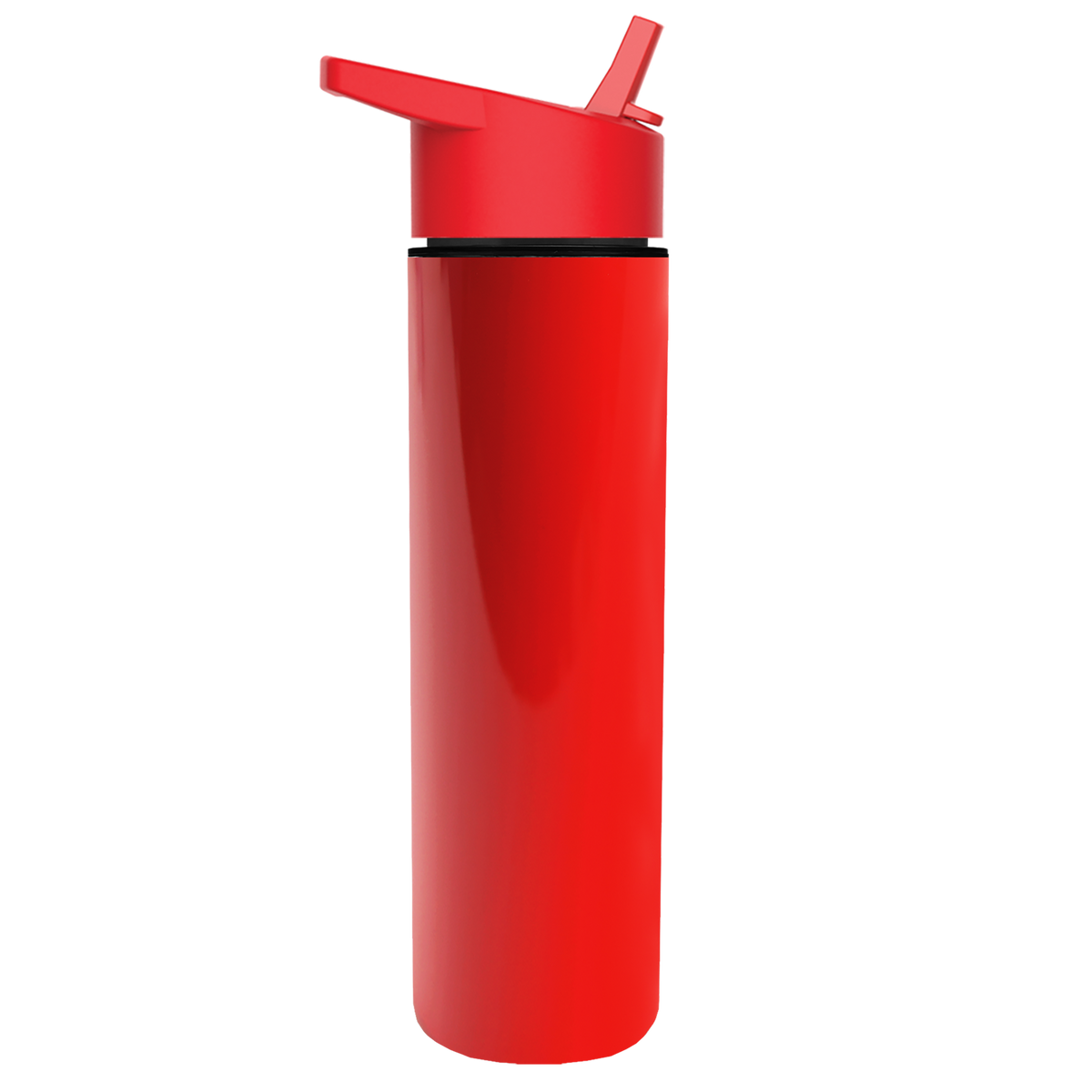 Custom logo Slim Double-Wall Insulated Bottle with Flip-Straw Lid - 16 oz.