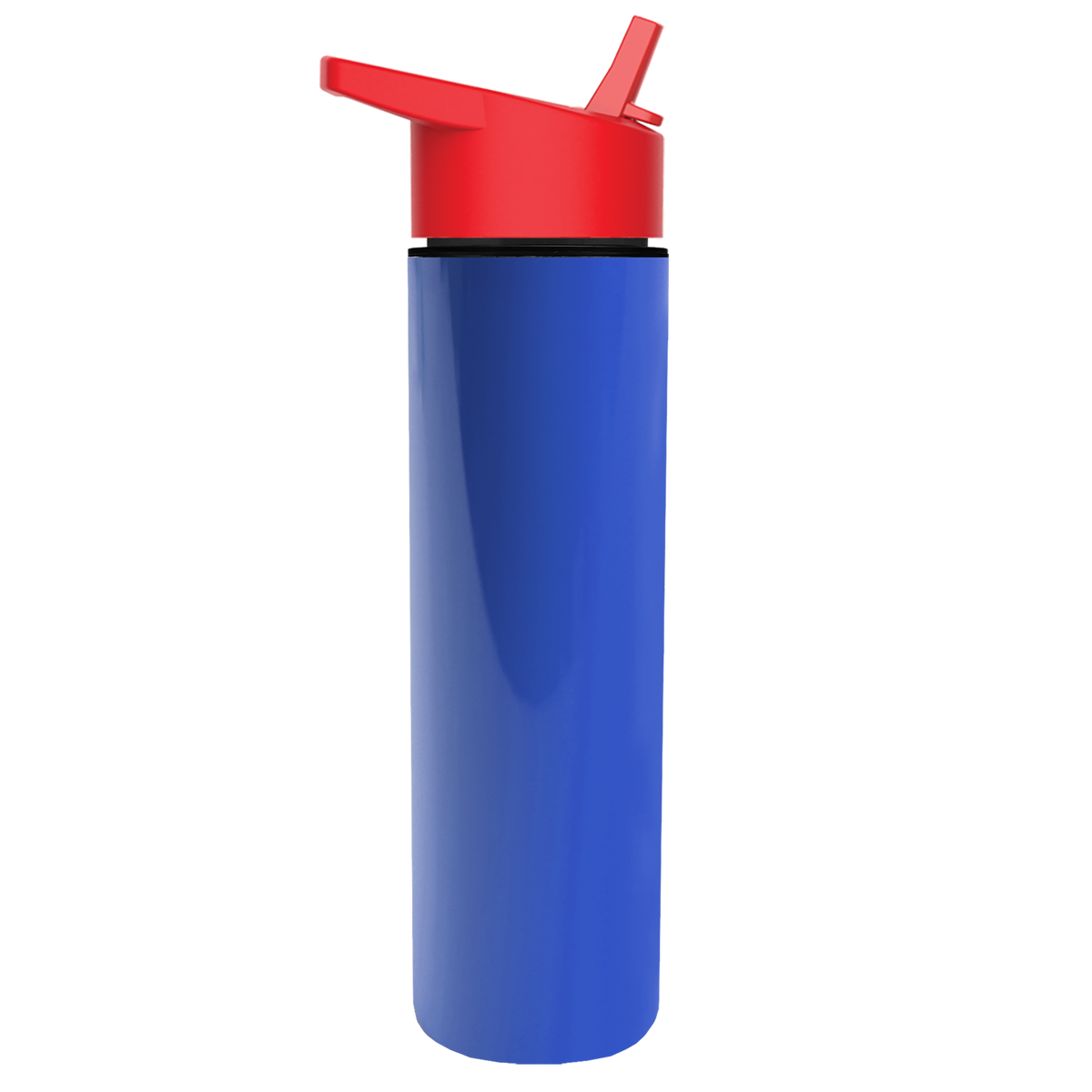 Custom logo Slim Double-Wall Insulated Bottle with Flip-Straw Lid - 16 oz.