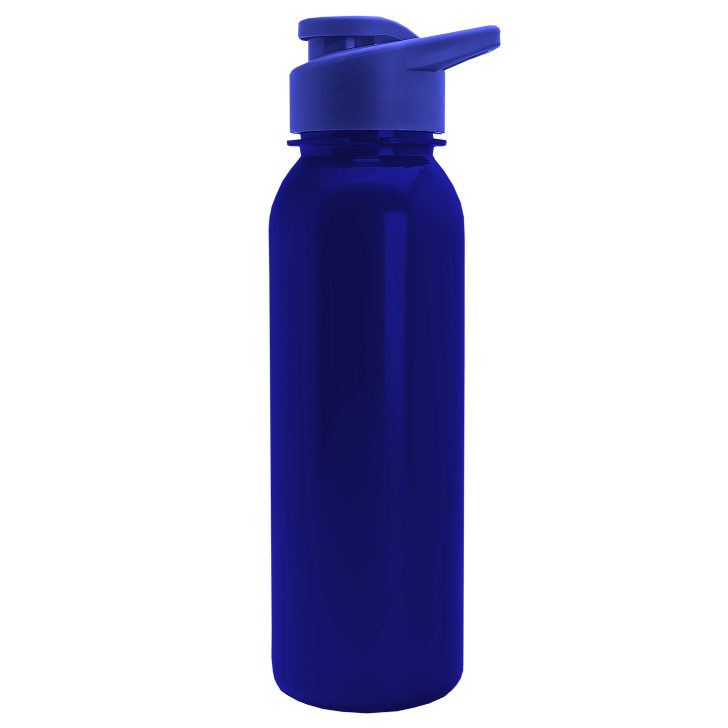 Terrain Metallike Bottle with Drink-Thru Lid - 24 oz.
