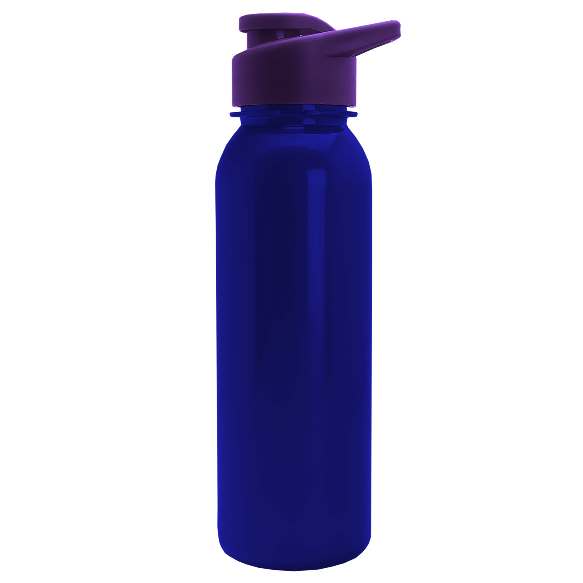 Terrain Metallike Bottle with Drink-Thru Lid - 24 oz.